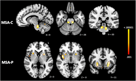 Figure 4: