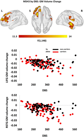 Supplementary Figure 7: