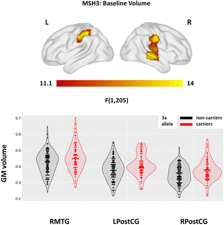 Supplementary Figure 6: