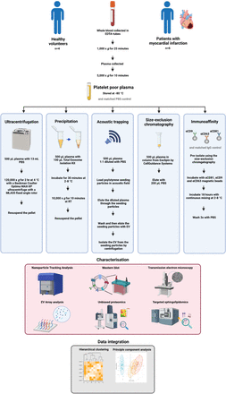 Figure 1: