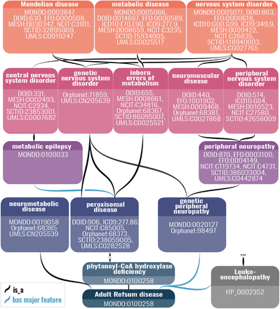 Figure 2: