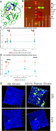 Figure 6: