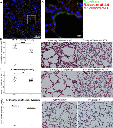 Figure 7: