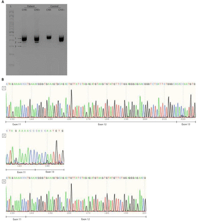 Figure 2 – figure supplement 1.