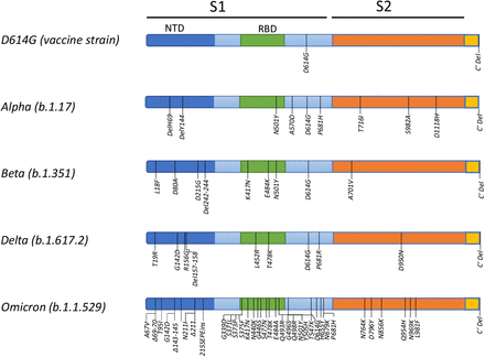 Figure S1: