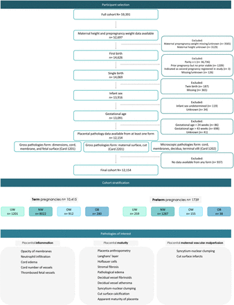 Supplementary Figure 1.