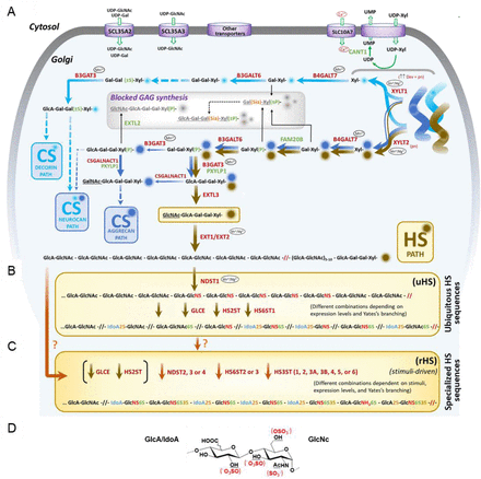 Fig. 6.