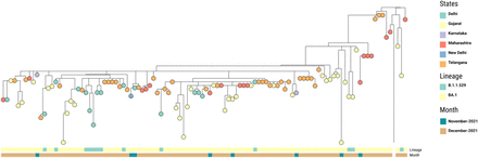 Fig 2: