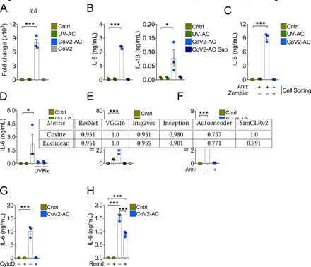 Figure. 3.