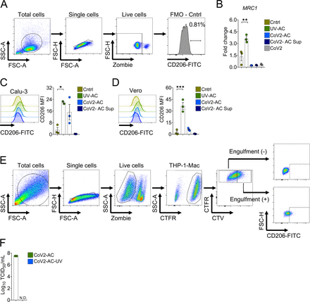 Figure 2 – figure supplement 1.