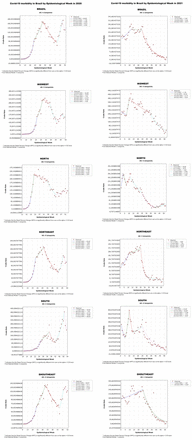 Fig 1.