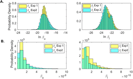 Figure 7: