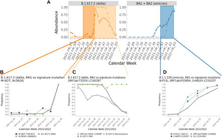 Figure 5: