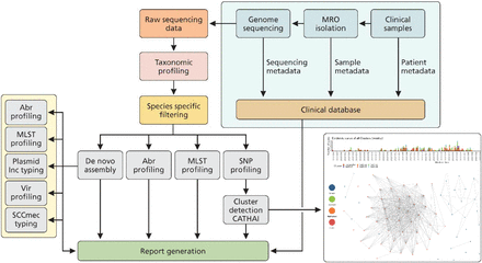 Figure 1: