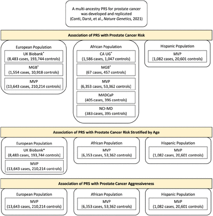 Appendix 1 – Figure 1