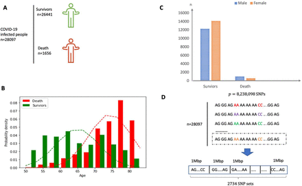 Figure 4: