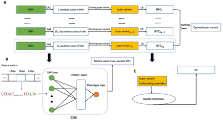 Figure 6: