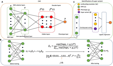 Figure 7: