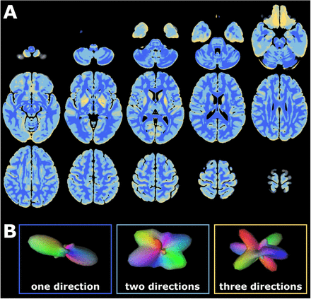 Figure 1: