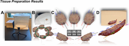 Figure 3: