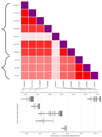 Fig 1.