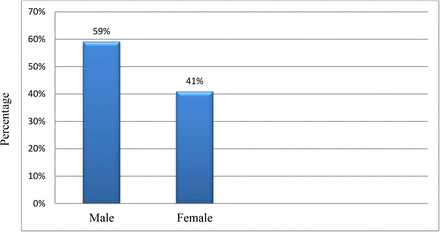 Figure 1: