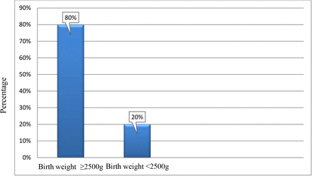 Figure 2: