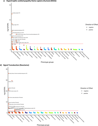 Figure 7: