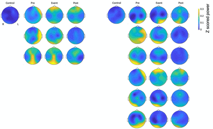 Supplementary Figure 1.