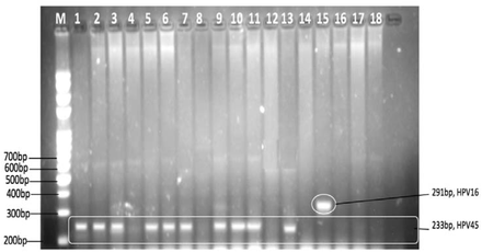 FIGURE 5: