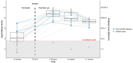 Figure 1: