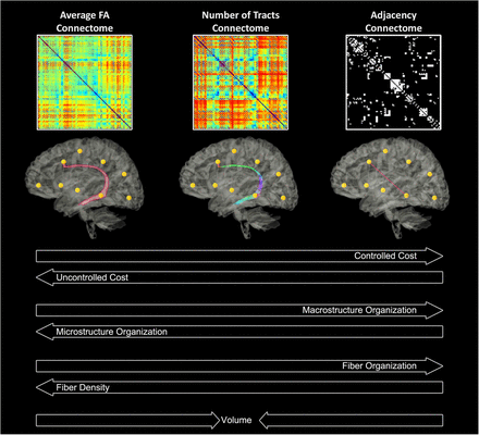 Figure 2: