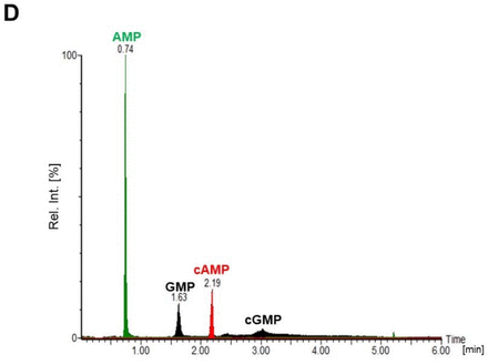 Figure 4: