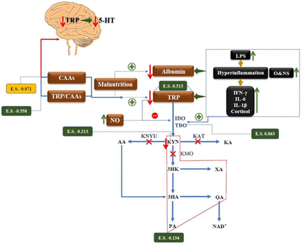 Figure 1: