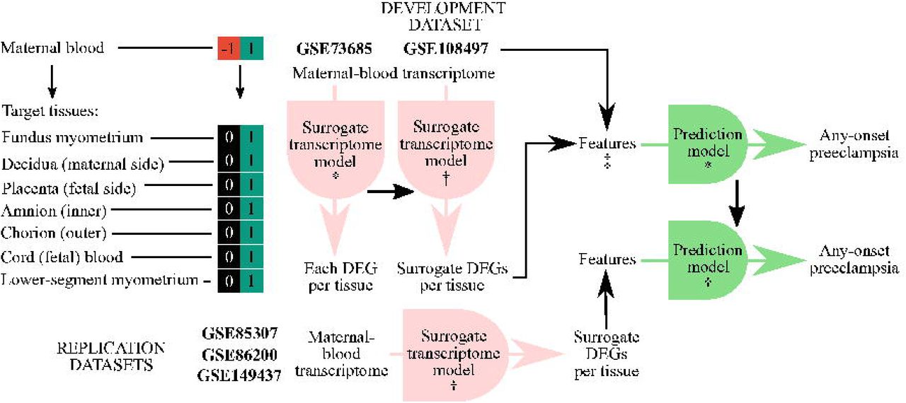 Integrative transcriptome analysis reveals dysregulation of canonical  cancer molecular pathways in placenta leading to preeclampsia