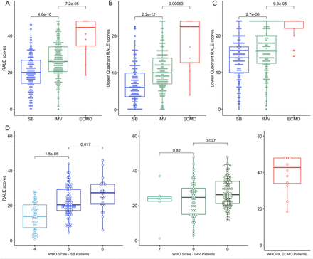 Figure 3: