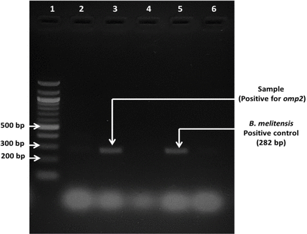 FIG 3