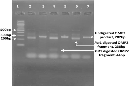 FIG 5