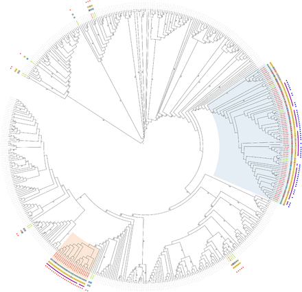 Fig. 1.