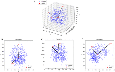 Fig. 4.