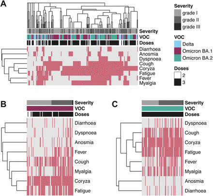 Figure 3: