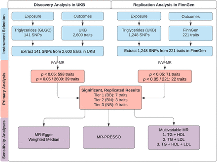 Fig 1.