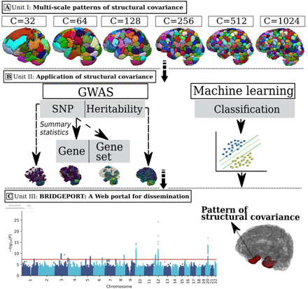 Figure 1: