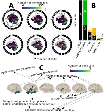 Figure 3: