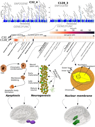 Figure 4: