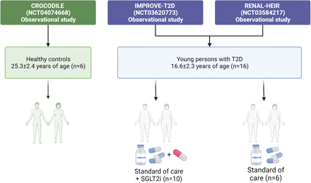 Figure 1: