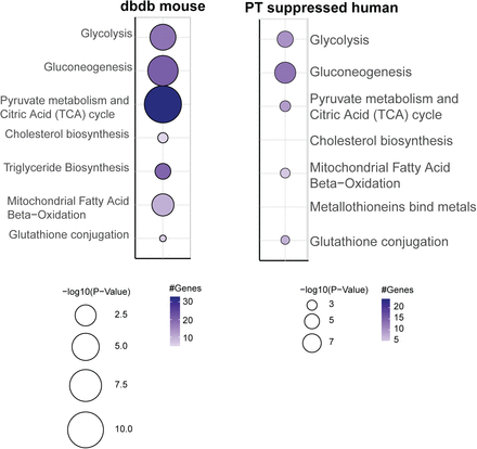 Figure 6: