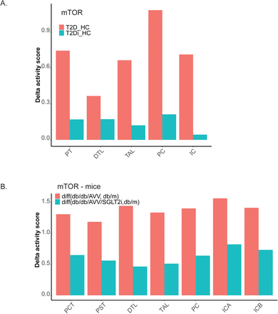 Figure 7: