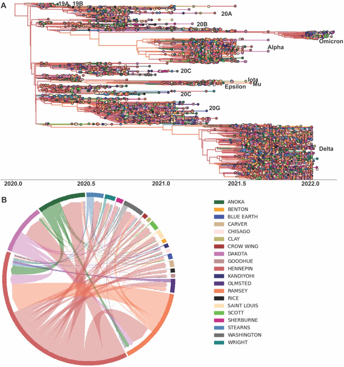 Genomic epidemiology of SARS-CoV-2 under an elimination strategy