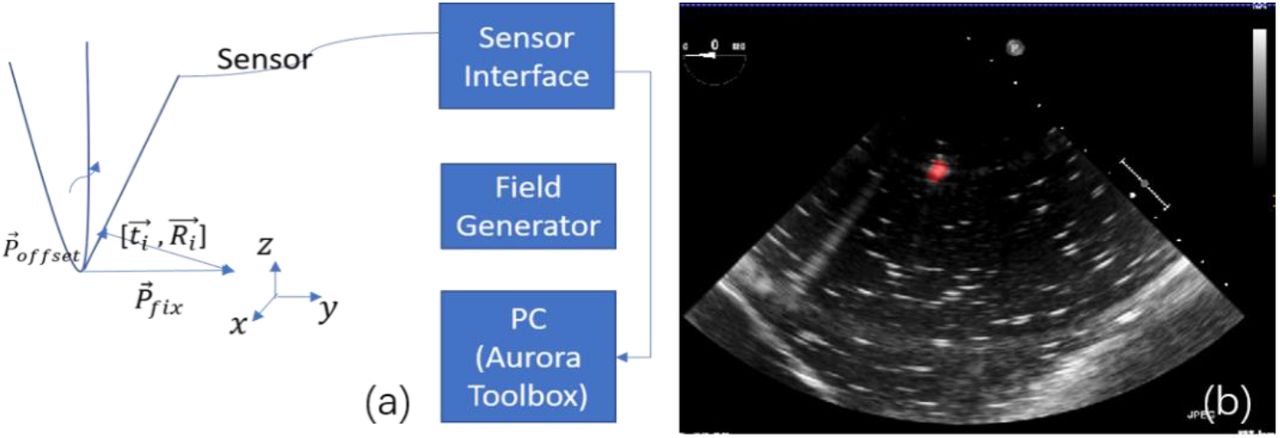 A Hybrid Catheter Localisation Framework in Echocardiography Based on  Electromagnetic Tracking and Deep Learning Segmentation